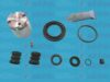 AUTOFREN SEINSA D41198C Repair Kit, brake caliper